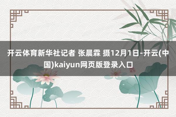 开云体育　　新华社记者 张晨霖 摄　　12月1日-开云(中国)kaiyun网页版登录入口