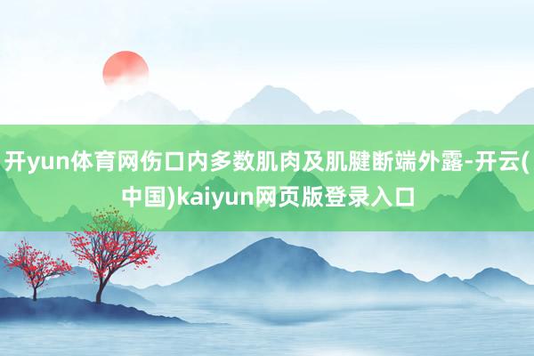 开yun体育网伤口内多数肌肉及肌腱断端外露-开云(中国)kaiyun网页版登录入口