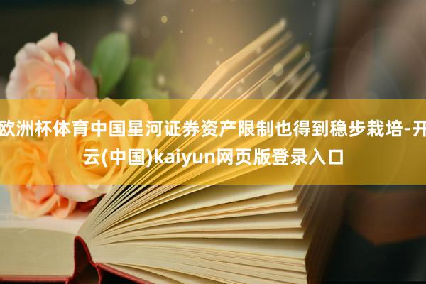 欧洲杯体育中国星河证券资产限制也得到稳步栽培-开云(中国)kaiyun网页版登录入口